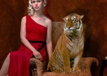 Learn about high-asset divorce in Georgia to protect your wealth and future.